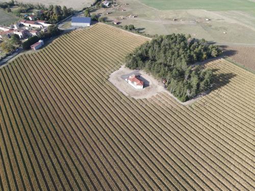 DJI_4166.JPG